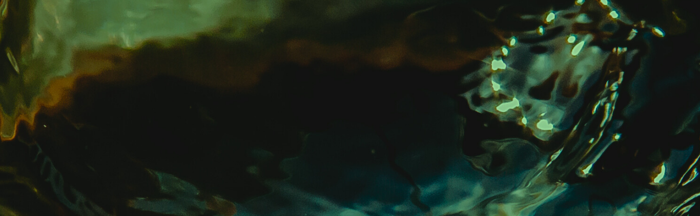 Abstract bioluminescent landscape