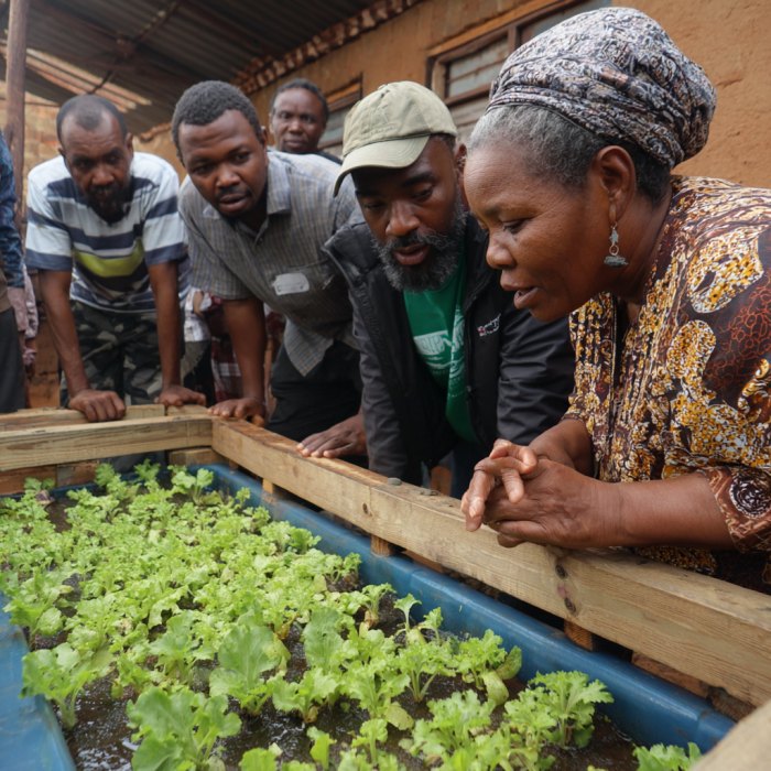 Growers gathered around a seedling bed