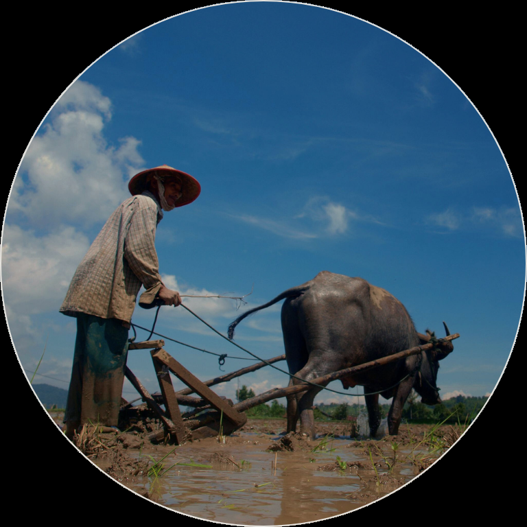 Farmers Footprint